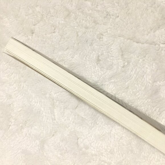 'Buried in Treasures' Second Edition Softcover By David Tolin - Picture 4 of 5